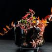 HenryDean ヘンリーディーン　アキコ　 エンペラドール　ガラス花瓶　花器