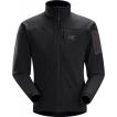 最新色 ARC'TERYX ガ...