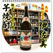 伊佐美 25度 180...