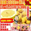 高知産 土佐文旦 袋入り 大玉４−３Ｌサイズ 約１０ｋｇ 訳あり品　気温が高く傷みが心配なので袋から出して箱入れして発送いたします。