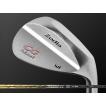 Zodia (ゾディア) CG collection Iウェッジ N.S.PRO MODUS3 WEDGE 105