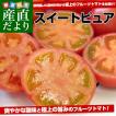 静岡県より産地直送 ...