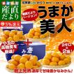 送料無料 佐賀県より...