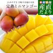 送料無料 宮崎県より...
