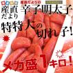 送料無料 福岡より直...