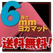 コンパクトな6mm ヨガ...