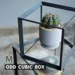 ODD CUBIC BOX(M) ディスプレイボックス アイアン キューブ 鉢植え ガーデニング 4589824362908 ウエストビレッジ