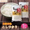 白米 10kg (5kg×2袋)  コシヒカリ 特別栽培米  京都丹後産 「令和5年産」