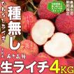 種無し生ライチ 約4kg 箱 80玉前後 大玉 中国産 超希少品種 厳選フルーツ 新鮮フレッシュライチ みずみずしい レイシ 無核茘枝 御中元 夏ギフト＜国内検品＞