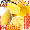 マンゴー タイ産マン...