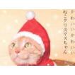 かわいい　かわいい　ねこクリスマスちゃん　全4種