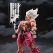 BANDAI（バンダイ） 【2026年9月発送分】【予約】【新品】S.H.Figuarts