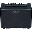 ローランド（Roland） AC-33 ステレオアンプ エレアコ用 30W 電池駆動