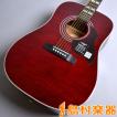 Epiphone エピフォン ...