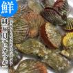 大分 活き ひおうぎ貝 10枚 緋扇貝 ヒオウギガイ 国産 貝 焼き 海鮮BBQ 海鮮バーベキューセット