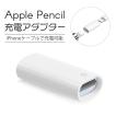 Apple Pencil 充電 変換アダプタ アップルペンシル 変換 USB USBケーブル USBケーブル変換アダプタ 充電ケーブル ケーブル iPad pro カバー ケ