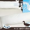 羽根まくらロング 43...