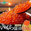 北海道産 いくら 醤油漬け 250g 化粧箱入 イクラ 海鮮 ギフト 食品 海鮮丼 バレンタイン チョコ以外
