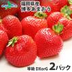 いちご あまおう 大粒...
