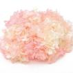 プリザーブドフラワー 花材 材料 ソフトアジサイ 彩 ホワイト × ピンク 小分け 東北花材 TOKA