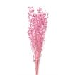 ドライフラワー 花材 リンフラワー ストロベリー 約25g 大地農園 ピンク お花 小花 オオチノウエン