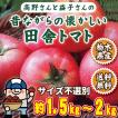 ƒgƒ}ƒg –ó‚ ‚è ‚–삳...