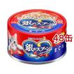 銀のスプーン 缶 まぐろ ( 70g*48缶セット )/ キャットフード ) : 爽快
