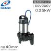 ツルミ 水中ポンプ 100V 200V 海水 排水ポンプ 40TM2.25S 40TM2 ツルミ 水中ポンプ 100V 200V 海水 排水ポンプ 40TM2.25S 40TM2