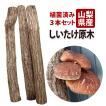 山梨県産 しいたけ原木 3本セット 菌駒打ち済み おいしい椎茸栽培 安心