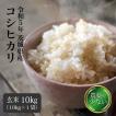 玄米 10kg こしひかり 送料無料 米 お米 新米 令和5年 茨城県産 農薬が少ないお米（北海道・九州+300円）