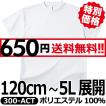 グリマー ドライTシャ...