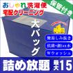 クリーニング 宅配 保管 詰め放題 15点まで 最大一年保管 衣替え 新生活 送料無料 シミ抜き   タカケン