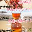 初回限定 送料無料 Te...