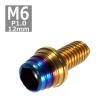 キャップボルト M6×12mm P1.0 テーパーシェル ステンレス ゴールド＆焼きチタンカラー 1個 TB0907