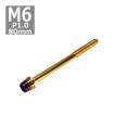 キャップボルト M6×80mm P1.0 テーパーシェル ステンレス ゴールド＆焼きチタンカラー 1個 TB0921