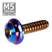 M5×20mm タッピングネジ タッピングビス タッピングボルト 焼きチタンカラー ステンレス 1本 TC0044