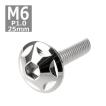 ボタンボルト M6×25mm P1.0 スターヘッド ステンレス シルバー 1個 TR0012