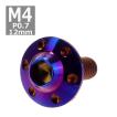 ボタンボルト M4×12mm P0.7 ホールヘッド H-1 ステンレス 焼きチタンカラー 1個 TR0197