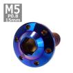 ボタンボルト M5×15mm P0.8 ホールヘッド H-1 ステンレス 焼きチタンカラー 1個 TR0201