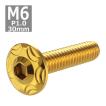 ボタンボルト M6×30mm P1.0 スノーヘッド ステンレス ゴールドカラー 1個 TR0279