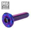ボタンボルト M6×30mm P1.0 スノーヘッド ステンレス 焼きチタンカラー 1個 TR0293