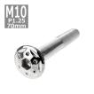 ボタンボルト M10×70mm P1.25 スターホールヘッド ステンレス シルバー 1個 TR0689