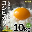 丹波 お米 米 2kg コシヒカリ こしひかり 令和5年産 新米 白米 丹波篠山産