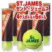 ダンロップ St.JAMES...