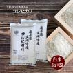 米 コシヒカリ お米 10kg 白米 コシヒカリ 5kg×2袋 令和５年 岩手県産 送料無料