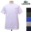 LACOSTE (ラコステ) T...