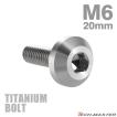 チタンボルト M6×20mm P1.0 テーパーヘッド 六角穴 ボタンボルト シルバーカラー 1個 JA852