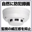 火災報知器型カメラ ...