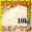 お米 米 10kg もち白米 送料無料 熊本県産 ヒヨクモチ あすつく 令和5年産 5kg2個 くまもとのお米 富田商店 とみた商店