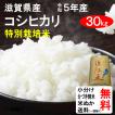 米 30kg 送料無料 滋賀県東近江市 特別栽培米 コシヒカリ 1等玄米 クーポンで500円引き